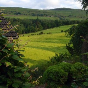 Dasherhead Bed and Breakfast Stirling